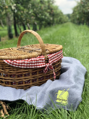 Picknicken in De Boomgaardklein